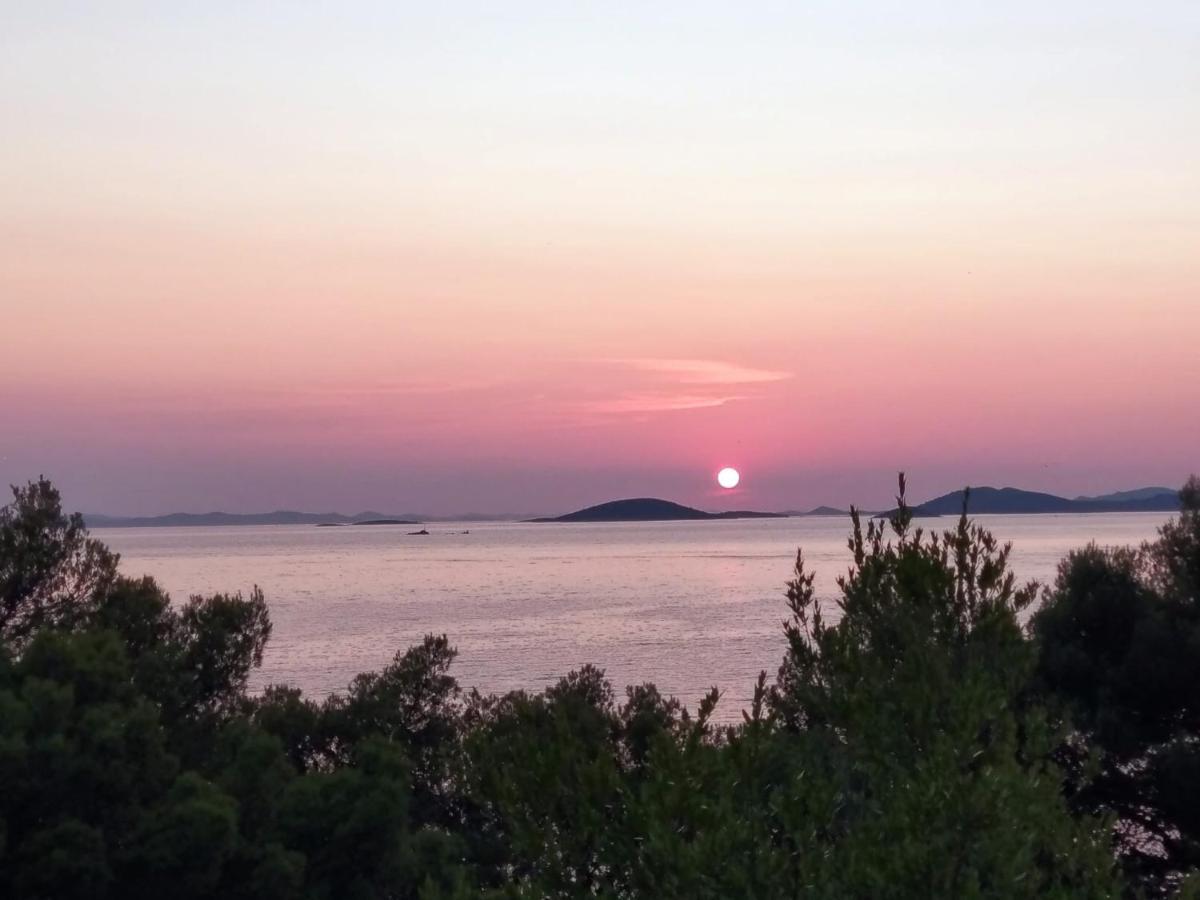 Amazing Villa Galeb In Murter Extérieur photo